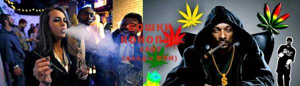 гидра Костерёво