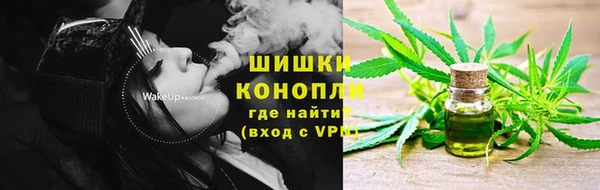 гидра Костерёво