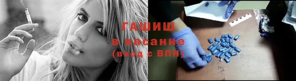 гидра Костерёво