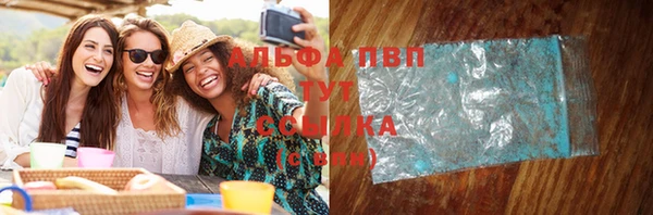 гидра Костерёво