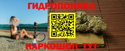 шишки Гусь-Хрустальный