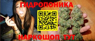 тгк Кандалакша