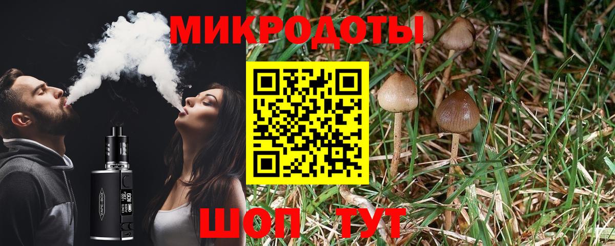 Галлюциногенные грибы MAGIC MUSHROOMS  Симферополь  купить закладку  Псилоцибиновые грибы мицелий 